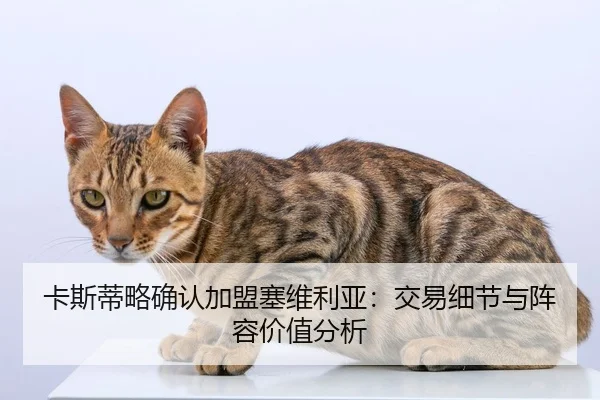 卡斯蒂略确认加盟塞维利亚：交易细节与阵容价值分析